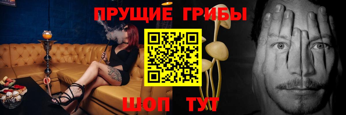 Галлюциногенные грибы мухоморы  Галлюциногенные грибы Magic Shrooms  Мценск  Вход с VPN 